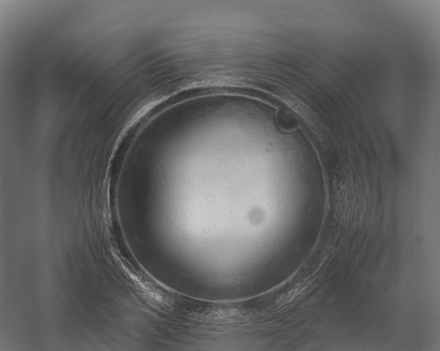 X0000057580982200509231247