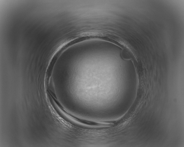 X0000057580983200509231247