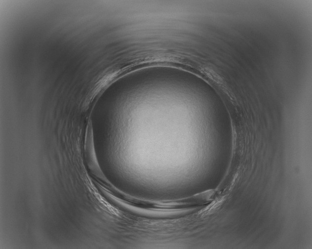 X0000057580985200509231247