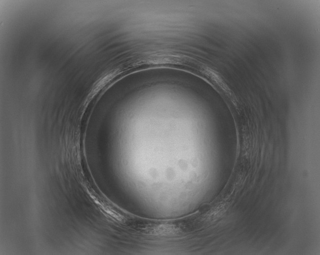 X0000057580986200509231247