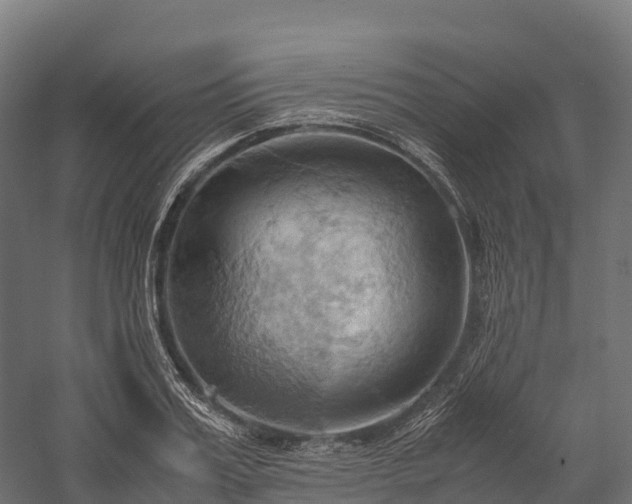 X0000057580987200509231247