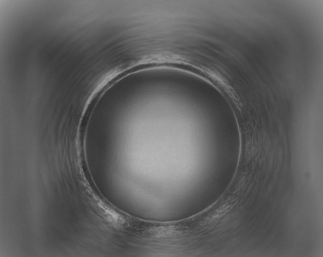 X0000057580990200509231247