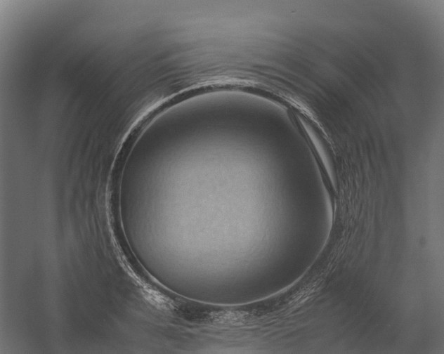 X0000057580991200509231247