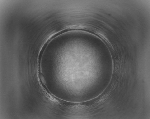 X0000057580992200509231247