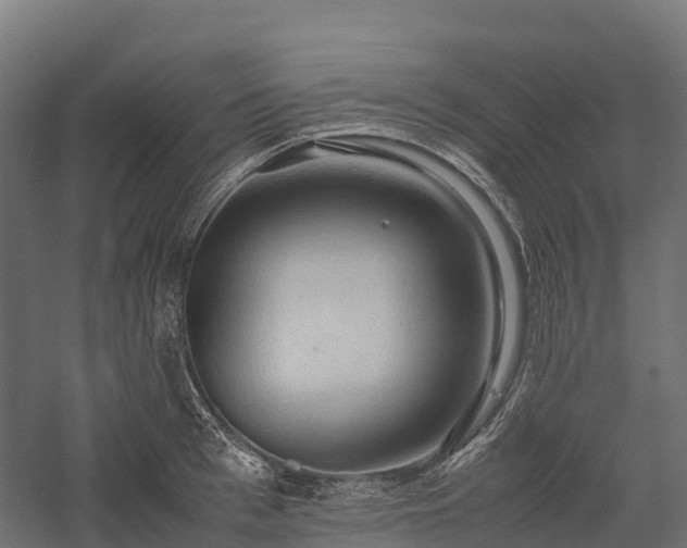 X0000057580993200509231247