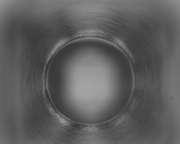 X0000057580994200509231247