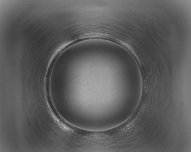 X0000057580995200509231247