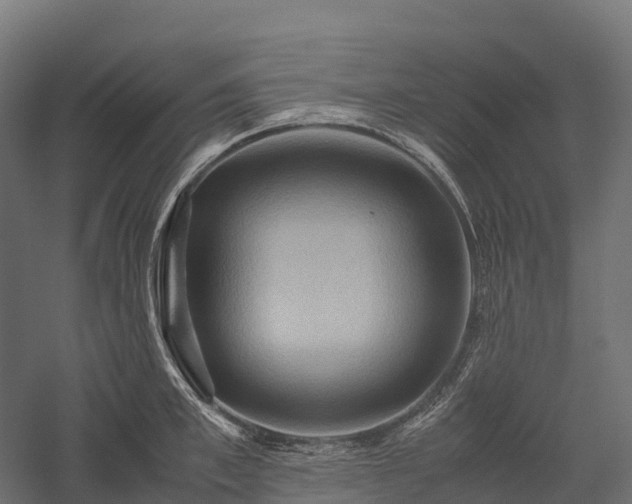 X0000057580997200509231247