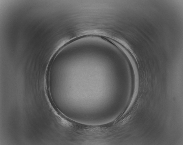 X0000057580999200509231247