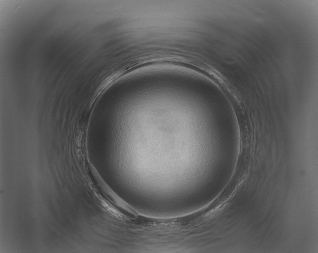 X0000057581001200509231247