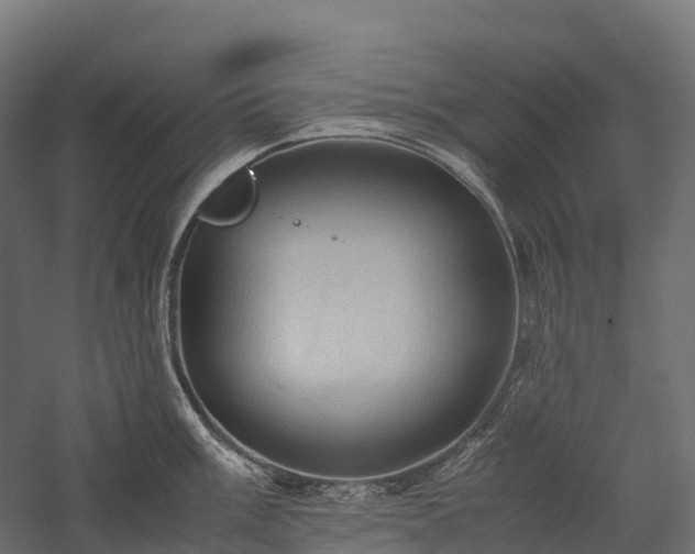 X0000057581003200509231247