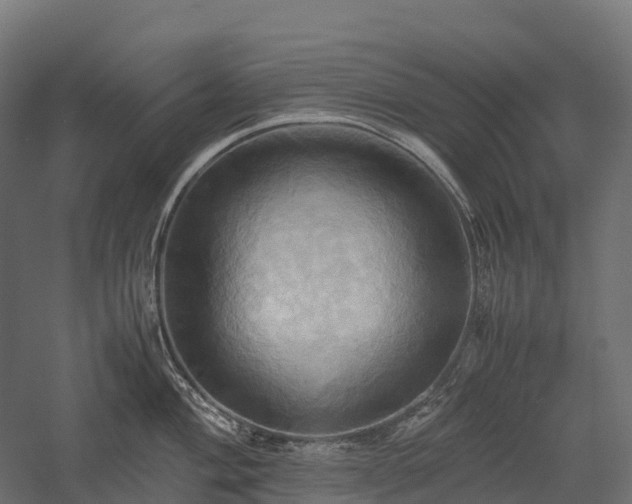 X0000057581004200509231247