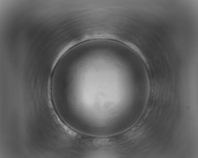 X0000057581006200509231247