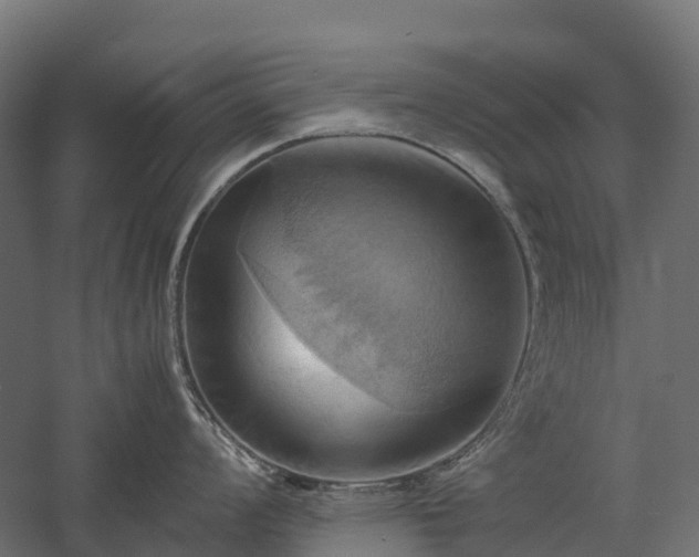 X0000057581008200509231247