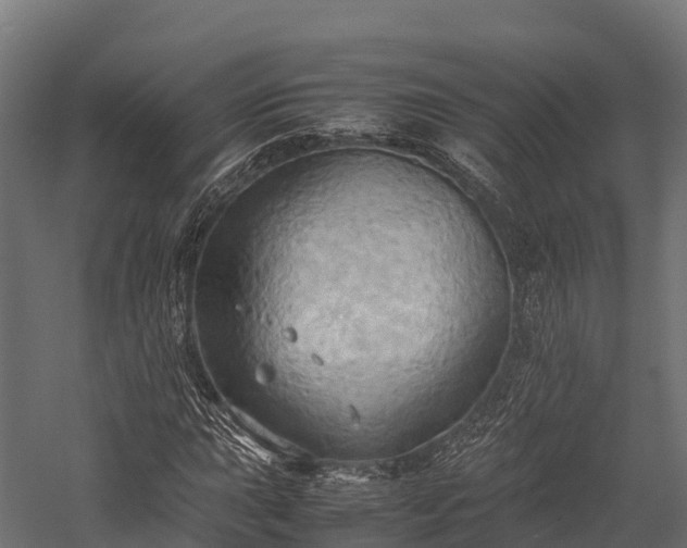 X0000057581015200509231246