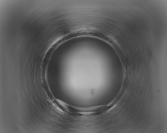 X0000057581018200509231246