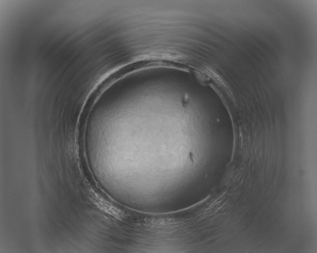 X0000057581020200509231246