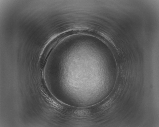 X0000057581021200509231246