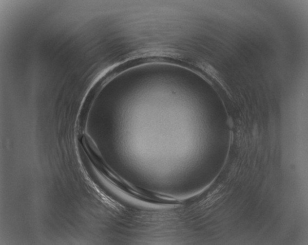 X0000057581024200509231246