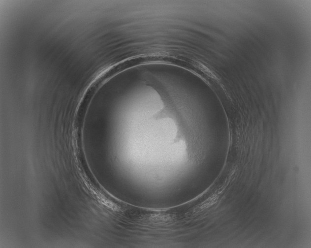 X0000057581029200509231246