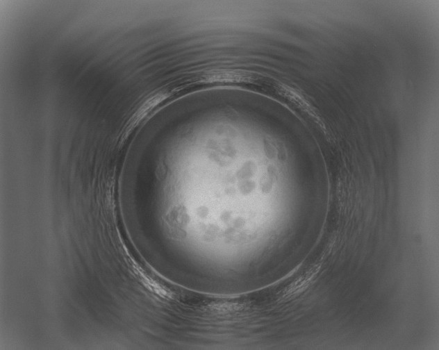 X0000057581033200509231246