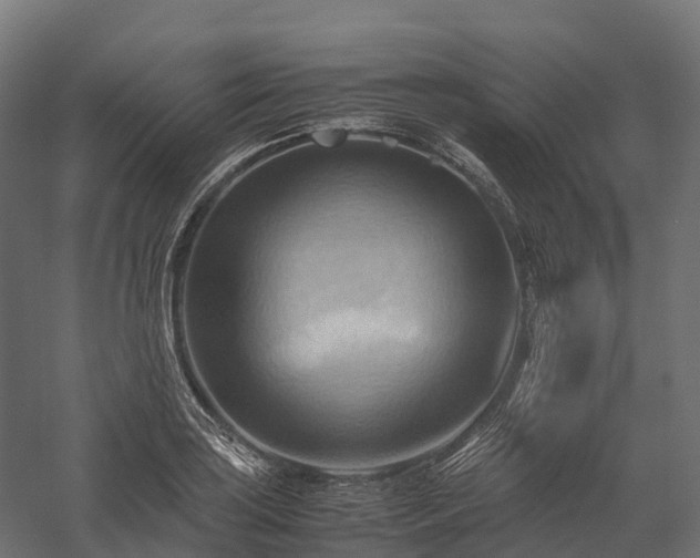 X0000057581035200509231246