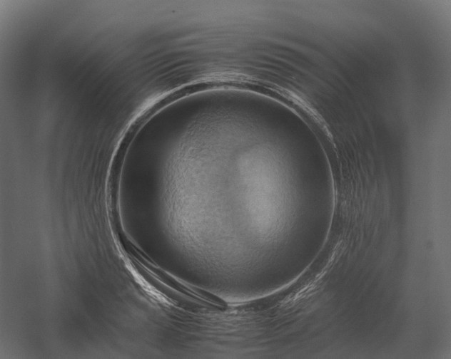 X0000057581037200509231246