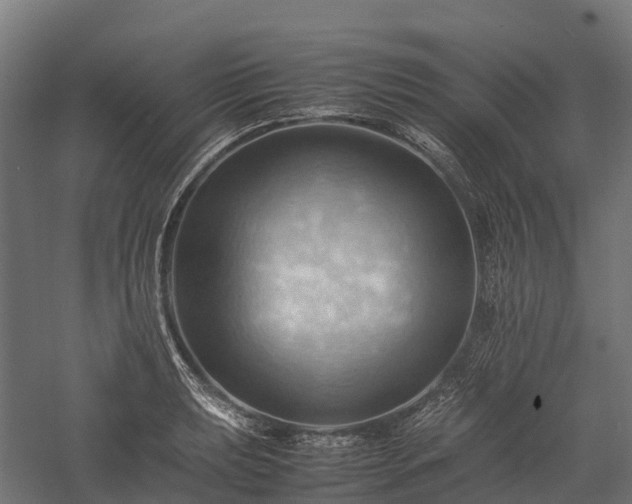 X0000057581039200509231246