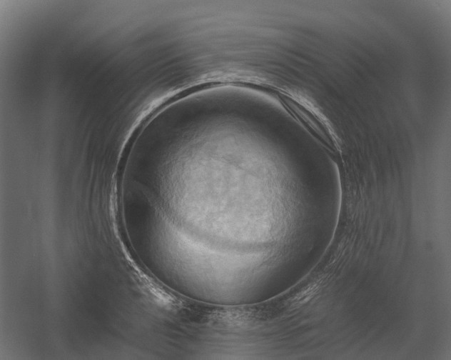 X0000057581040200509231246