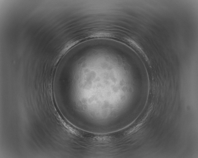 X0000057581041200509231246