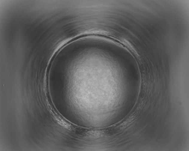 X0000057581044200509231246