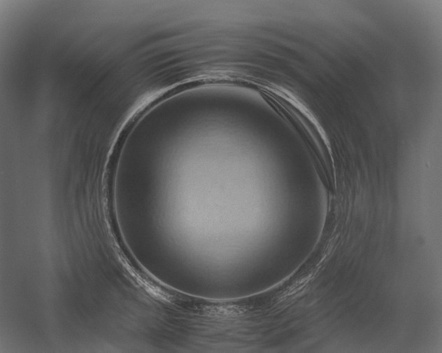 X0000057581045200509231246