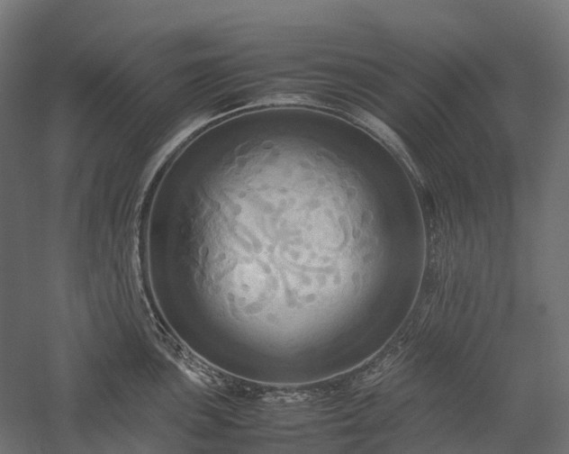 X0000057581051200509231246