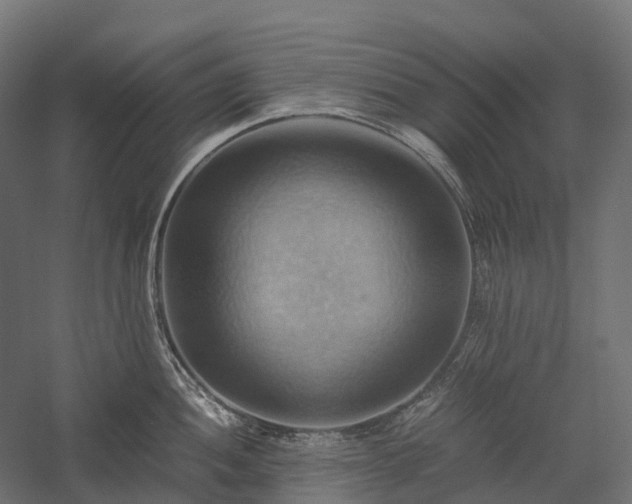 X0000057581052200509231246