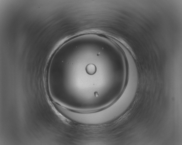 X0000057581054200509231247