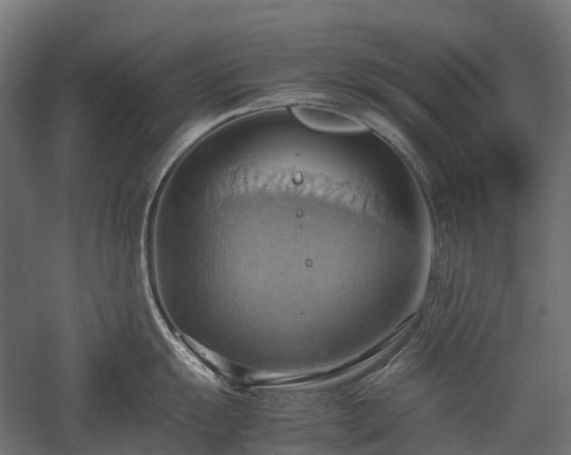 X0000057581055200509231247