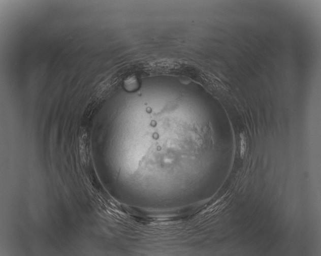 X0000057581059200509231246