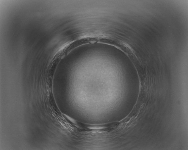 X0000057581064200509231246