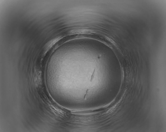 X0000057581066200509231246