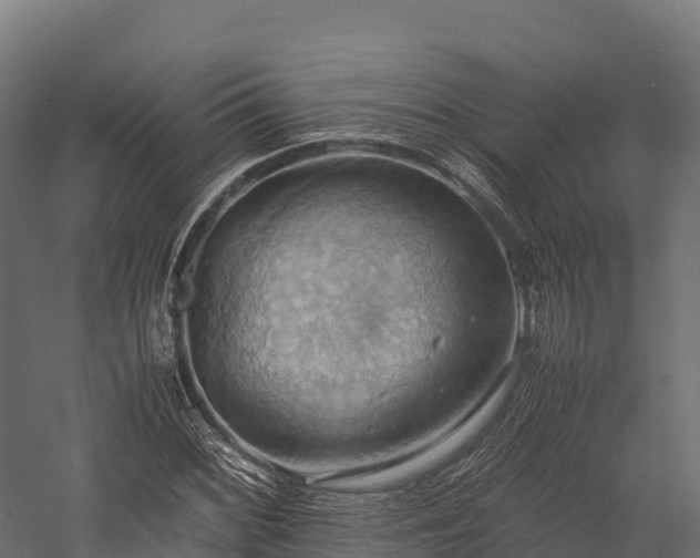 X0000057581068200509231246