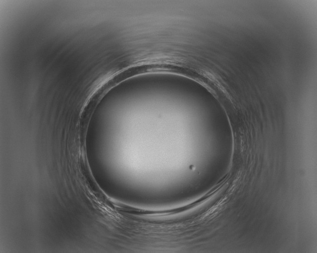 X0000057581069200509231246