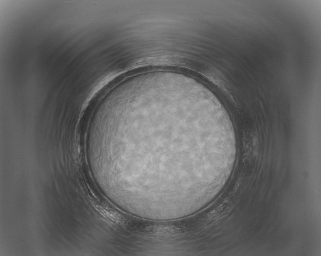 X0000057581070200509231246