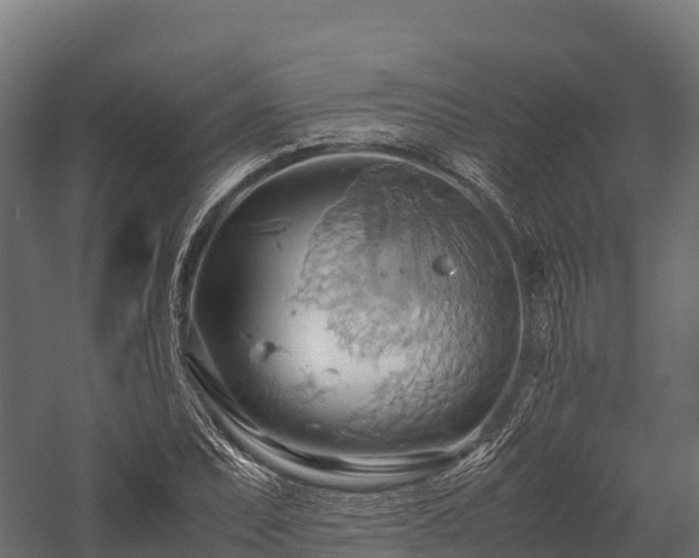 X0000057581071200509231245