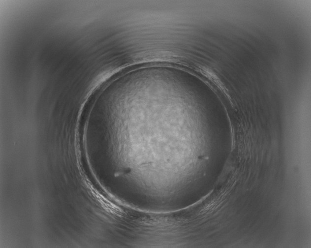 X0000057581072200509231245