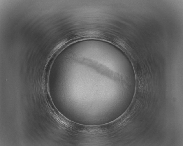 X0000057581074200509231245