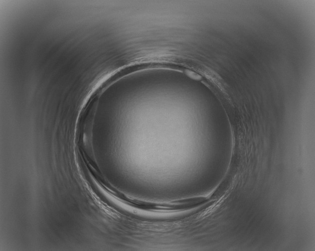 X0000057581077200509231245