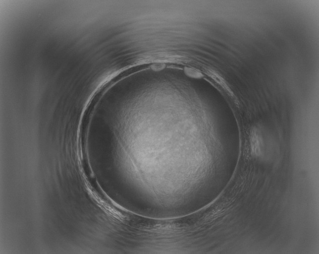 X0000057581080200509231245