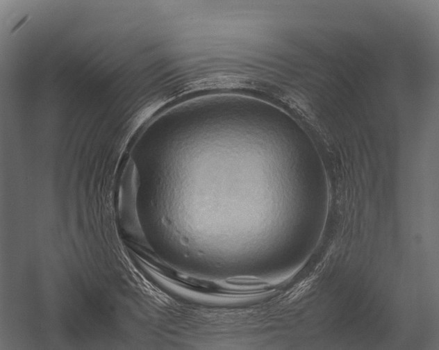 X0000057581081200509231245