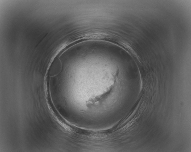 X0000057581083200509231245