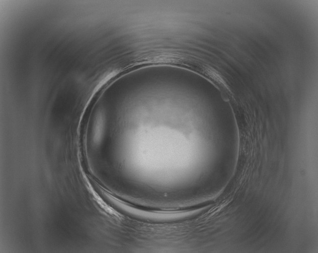 X0000057581087200509231245